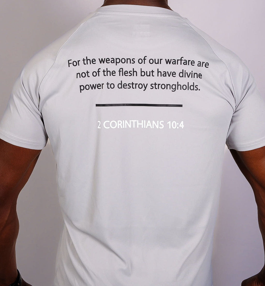 Dry Fit T-Shirt - Silver